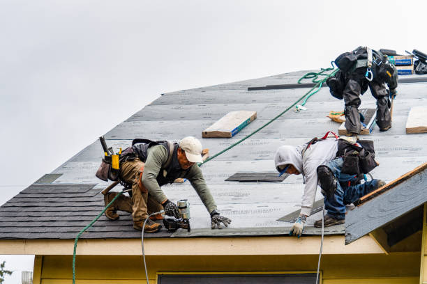Professional Flat Roof Repair technician working in Waltham, MN