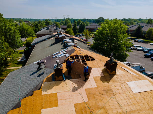 24/7 Emergency Flat Roof Repair experts in Waltham, MN